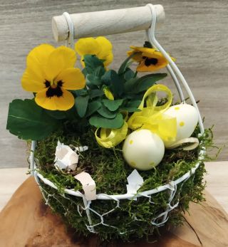 S květinami bude vaše jaro hezčí 🙂 #jaro #velikonoce #velikonocnikosik #macesky